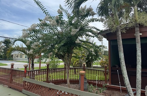 Fedhaven House | Oaks and Palm Resort Lake Wales, Fl. by Lake Kissimmee 3 Bedroom 5 beds 6 guest