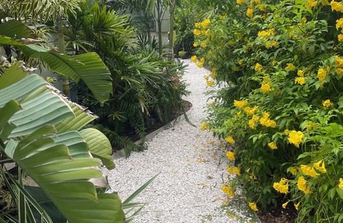 Gulfport House | "Old Florida" Cottage in a Private Gulfport Oasis