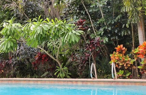 Maitland House | Orlando Tropical Oasis