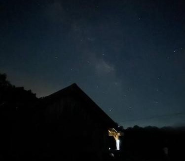 Smithville House | Peaceful Creekside Tiny Cabin, Family Adventure Near Waterfalls