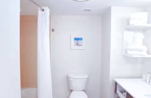 Wesley Chapel Hotel | Peaceful Stay Near Busch Gardens, Outlets, Restaurants & Nature Trails