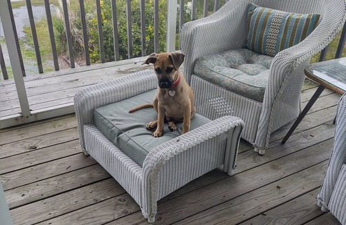Ocean City Beach House | Perfect for Families Book your Family get-away OR get reconnected!