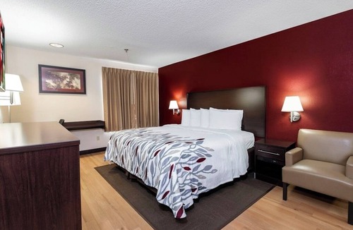 Knoxville Hotel | Pet-Friendly Room Perfect for Family Adventures in Knoxville
