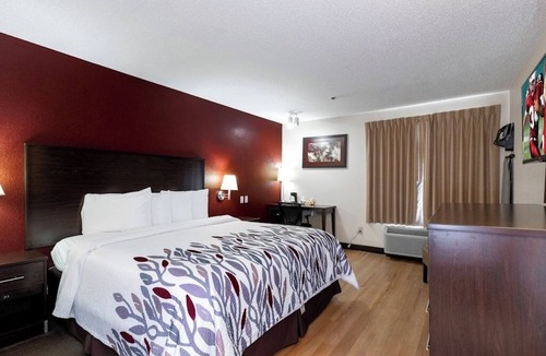 Knoxville Hotel | Pet-Friendly Room Perfect for Family Adventures in Knoxville