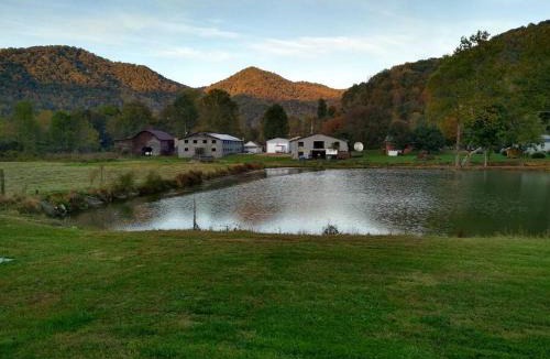 Barnardsville House | Pet friendly rustic cabin with views 26 min to downtown Asheville