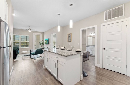 Southeast Orlando Apartment | Pinnacle Apartments W Amenties by Heavenly Homes