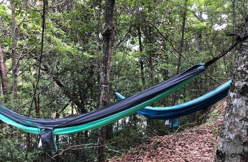 Jesup House | Pop up camp with Little Lulu!