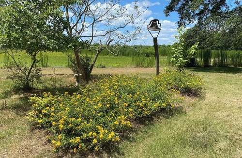 New Bern House | Private 3BR Historic Farmhouse near downtown New Bern on 33 acres