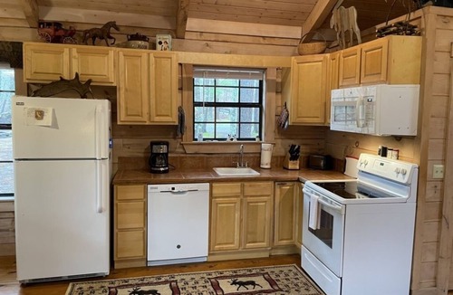 Tellico Plains Cabin | Private and Perfect! - hot tub, king bed, fireplace - dog and motorcycle friendly Studio Cabin by RedAwning