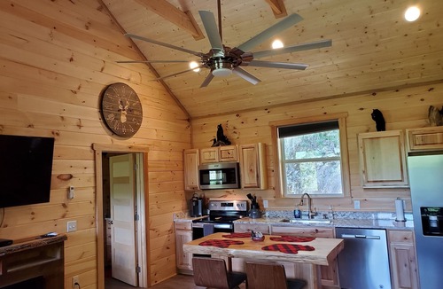 Whittier Cabin | Private Cabin Hot Tub 2 Kings