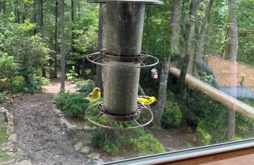 Penrose House | Private MNT Escape close to DuPont, Pisgah Forest, Brevard, Hendersonville.
