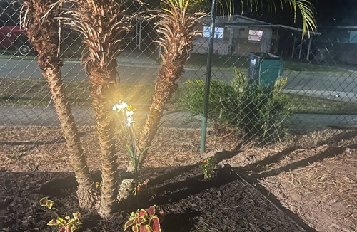 Southwest Orlando House | PROMO NOW: The Secret Garden Games Getaway