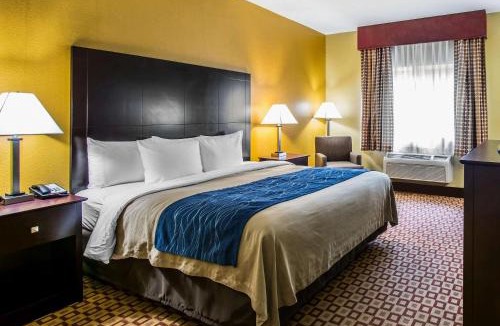 Plant City Hotel | Quality Inn Plant City - Lakeland