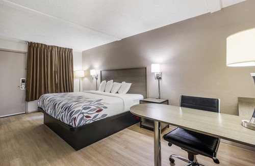 Richmond Hill Hotel | Red Roof Inn Savannah – Richmond Hill / I-95