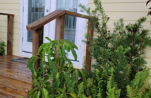 Micco House | Relax by Wabasso Beach-18 min away Perfect Micco family retreat Summer Specials