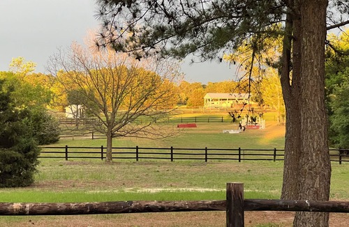 Lemon Springs House | Relaxing, peaceful, and lush horse farm. Quiet, 30 acres, & close to everything!