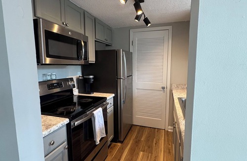 Columbia Condo | Renovated 1 BR, 1 BA in the Heart of USC Campus