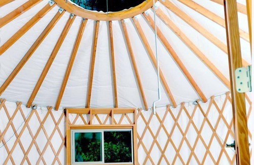 Roan Mountain Cabin | Roan Mountain Glamping Yurt, Ideal to Hike the Appalachian Trail