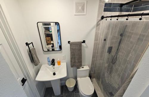 Sanford Apartment | Sanford Suite King Bed Work-Ready with 60 in Google TV and Rainfall Shower