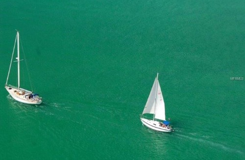 Fruitville Apartment | Sarasota Perfect Location For Your Vacation!