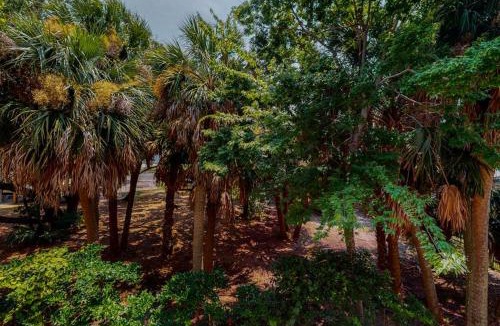 Edisto Island House | Sea Sea Rider