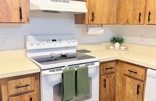 Bloomingdale Apartment | Serene 2-bedroom apartment with AC in charming Brandon