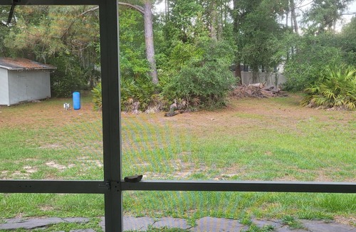 Wesley Chapel House | Serene and spacious 3-bedroom and 2 barhroom house on 1 Acre of land.