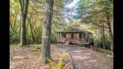 Brevard House | Shady Creek Cabin · Shady Creek Cabin in Connestee Falls with s