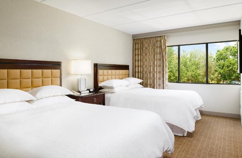 Airport North Hotel | Sheraton Suites Orlando Airport Hotel