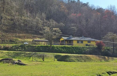 Tapoco House | Slay The Dragon Dragon's Lair Cabin in Robbinsville, North Carolina w Creek