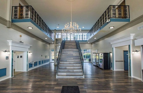 Sheffield Park Apartment | Sleek- Mins To - Atrium Health & CIA & Stadium
