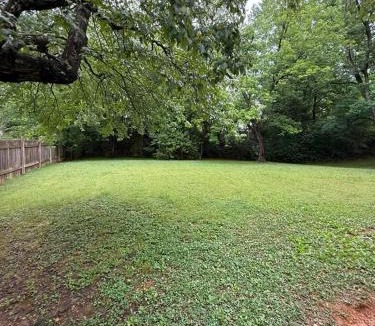Charlotte House | Spacious 4BR - 10 Min to Uptown - Yard - Pets OK