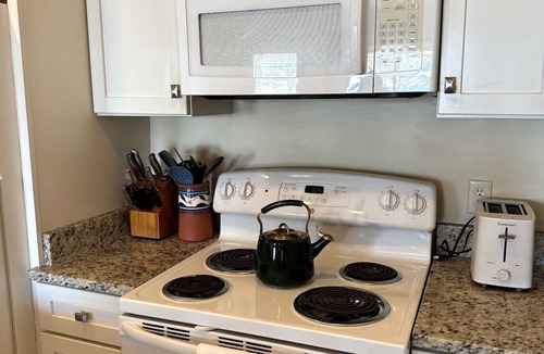 Hilton Head Island Condo | Spectacular Oceanfront, Top Floor, 1 BR, 1 BA, steps from the beach!
