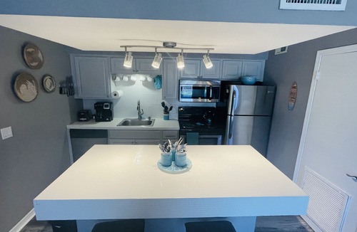 St. Petersburg Condo | St. Pete/Tampa 1 Bed/1Bath Condo/suite