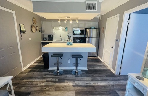 St. Petersburg Condo | St. Pete/Tampa 1 Bed/1Bath Condo/suite