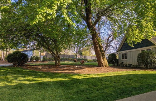 Raleigh House | Stunning Executive Home - Walk to North Hills - Hardscaping/Firepit - LOCATION!