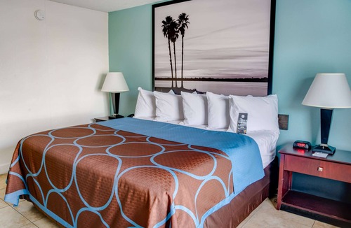 St. Petersburg - Clearwater Hotel | Super 8 by Wyndham St. Petersburg