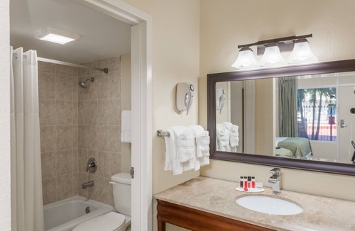 St. Petersburg - Clearwater Hotel | Super 8 by Wyndham St. Petersburg