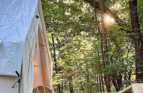 Central RV Rental | Tentrr Signature Site - Tentrr @ Clemson Experimental Forest