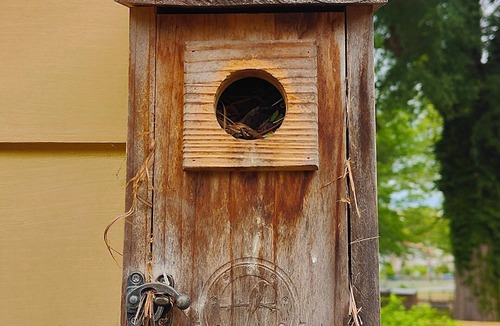 North Chesterfield Cottage | The Birdhouse - Cozy Cottage Retreat in Richmond