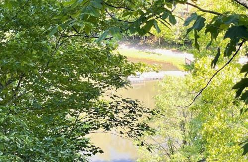 Almond House | The Happy Appalachian, Hot Tube, Lake, Fireplace, Relaxation