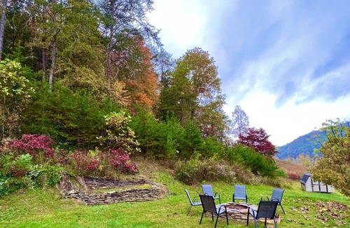 Rogersville Cabin | The Haven at Beech Creek