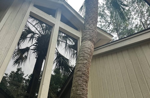 Evans House | The Tree House - 7 Bdr Luxury Lakefront Masters Retreat