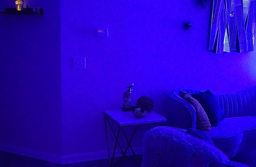 Church Street Apartment | This is a peaceful and relaxing apartment to away from home
