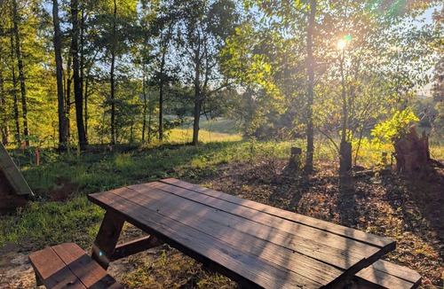 Athens - Sweetwater Cabin | Tranquil Glamping Cabin in Athens