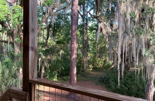 Midway Cabin | Tranquil Glamping near the Coast: Charming Rustic Cabin Rental in Midway, Georgia