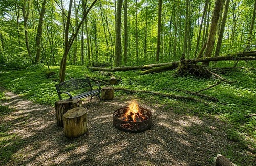 Walland Cabin | Treehouse by the Creek: Cozy Treetop Nest with a Hot Tub