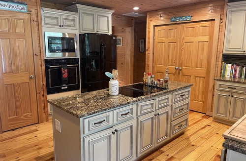 Townville Cabin | Unique lakefront 3 BR cabin directly on Lake Hartwell! 20 min drive to Clemson!
