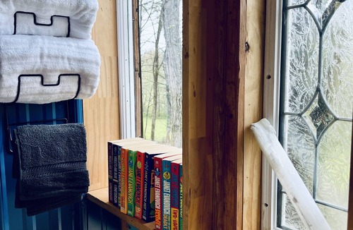 Doyle Apartment | Wall of Windows Treehouse #Treehouse #Love #Escape#Love#Getaway