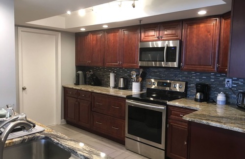 Isla del Sol Condo | Water View Living on Tampa Bay - See Dolphins and Manatees From Balcony